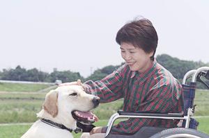 2025年最新版：尼崎で信頼の消化器内科を選ぶポイントとおすすめ医療機関