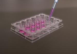 2025年最新｜新宿で信頼できる心療内科を見つける方法と選び方の完全ガイド